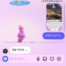 케이크89 | 이천 시내 두바이초콜렛|도시락케이크|디저트 맛집 케이크89 포장 후기