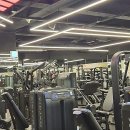 명품충전소 | 활력 충전소 탐방기: 2026년, 나를 위한 건강 관리 루틴 만들기 feat. 종각역헬스장