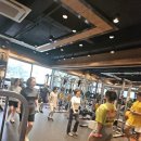 바디포헬스