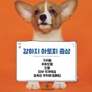 하남동물병원 이미지