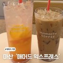 매머드익스프레스창동