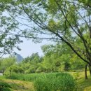 고인돌공원건너 이미지