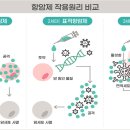 한성약국 이미지