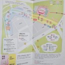 한강모터스 | 여의도 벚꽃축제 첫날 후기🌸 만개한 윤중로 벚꽃길 위치 가는법 정보 맛집 추천!