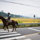 길자농장 이미지