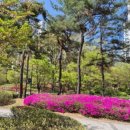 동편마을 4단지 앞 이미지