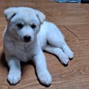 수호네 농장 이미지