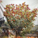 노란풍차유치원 이미지