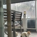 가평쏠스테이스파펜션 이미지