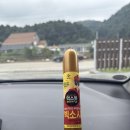 청평가든 | 가평 청평 세 부부 동반 여행 륀느펜션 a101, b101, c101 단체 숙박 후기
