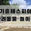 이네애견샵