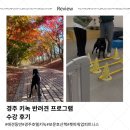임현곤 반려견 교육센터 | 경주 키녹 반려견 프로그램 수강 후기(내돈내산)