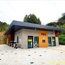 숏 산책-비래동 느티나무 보호수 이미지