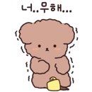 미산애견 이미지