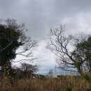 GS25 제주옹달샘점 이미지