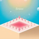 퍼즈 스튜디오