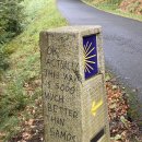 HOSTEL THE CAMINO | 산티아고순례길 28일차, 우주가 이끄는 대로... San Xil, Terra de Luz, Sarria 까지...!