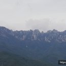 큰바위약국 이미지