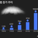 마약사범 15배↑ 마약압수량 5배↑…'태교여행'중 대마 '마약 한국' 현주소 이미지