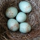 막골농장 이미지