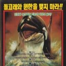올카 (orca) 이미지