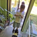 써니터틀 이미지