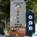 영월정경로당 티스토리