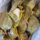 의령휴게소 | [의령] 의령시장에 가면 꼭 먹어야 할 소바 맛집, 화정소바