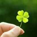 행운 만땅 이미지