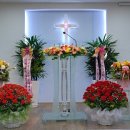 샬롬교회 이미지