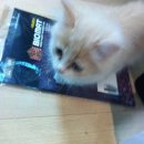 엘가닉바이오 이미지