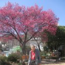 순천삼산중학교 이미지