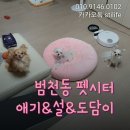 벨롱 펫 그루밍 | [부산펫시터]범천동 방문 펫시터 후기 ~♡