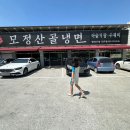 전주 송천동 냉면과 비빔냉면을 팔고 있는 모정산골냉면 내 돈 내산 솔직 후기