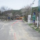 도원리경로당 Daum카페