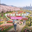 제주버스터미널 (동산교방면) | 벚꽃엔딩? 2026년 전국 봄 축제 일정 총정리 (4월 5월 지금 가기 좋은 곳 가는법·주차·포토스팟)