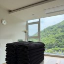 살림의기술 주우재옷걸이 vs 진심감성옷걸이 실사용 후기