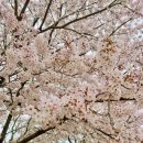 국악의 이해(이론편) | [2027대비] 유지연 전공음악 (3~7월) 교과서 분석 및 단원별 문제풀이반 수강 후기