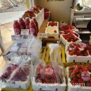 이성농장 | 강원도 강릉 이성돈 인삼딸기