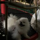 스시솔