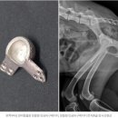 케이지메디텍(주) 이미지