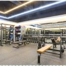 엠에프 휘트니스 | 강동구헬스장 둔촌푸르지오 엠에프휘트니스 체험 후기