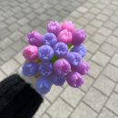 윤상현한의원 | [일상/일기] 끝없이 별빛이 내리던 밤 기분 좋은 바람이