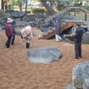 야시골공원 이미지