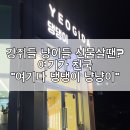 여기다댕댕이냥냥이 | :: 반려동물 - 강쥐들 냥이들 선물살땐 ? 여기가 천국 “여기다 댕댕이 냥냥이”