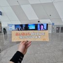 TOUR 2025 &#34;Dolphin Apartment&#34; in Seoul 2025.04.19 토요일 공연 후기 셋리포함 스포경고!! MC내용 포함