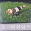 서울숲12 이미지