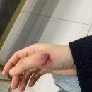 고이비인후과의원 네이버블로그