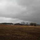 마중생태 이미지