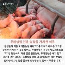 모래틈